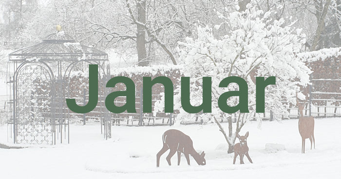 Conseils de jardinage pour janvier