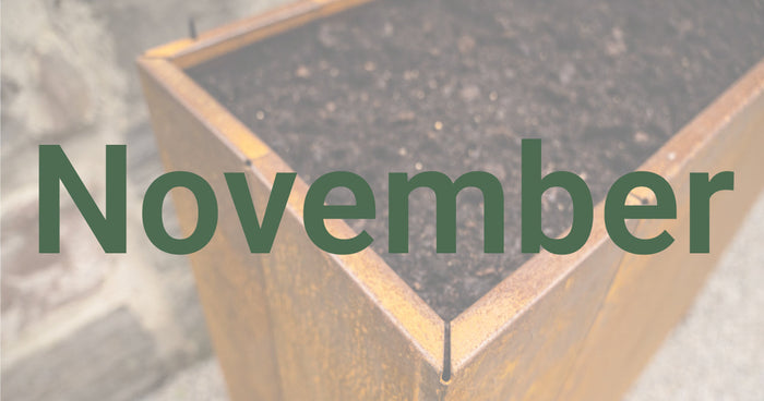 Conseils de jardinage pour novembre