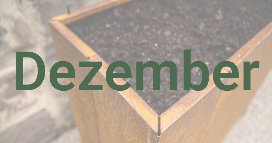 Conseils de jardinage pour décembre