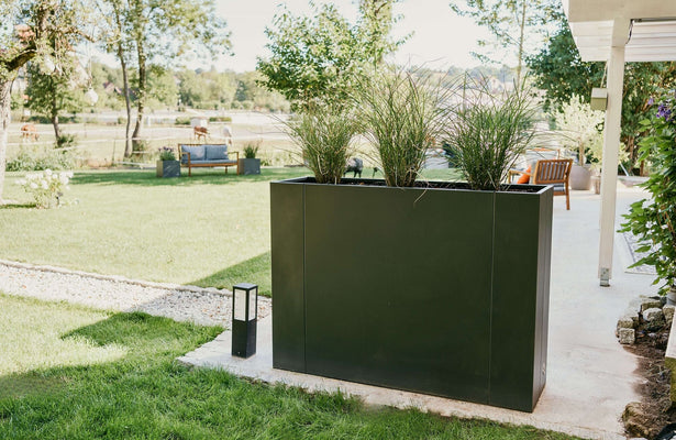 Durabilité au jardin : les bacs surélevés en métal comparés à ceux en bois et en plastique