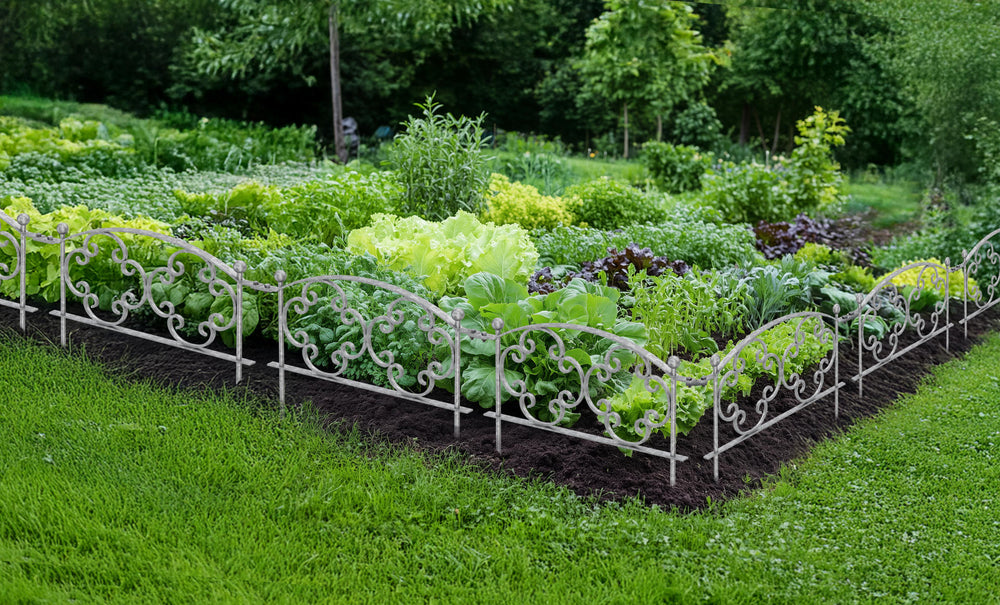 Bordure en fer forgé Rosa Bordure en fer forgé Rosa