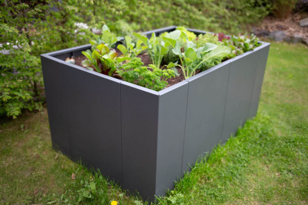 Hochbeet Monterosso bepflanzt mit Salaten und Kohl in einem Garten | Pulverbeschichtet anthrazit Hochbeet Monterosso bepflanzt mit Salaten und Kohl in einem Garten | Pulverbeschichtet anthrazit