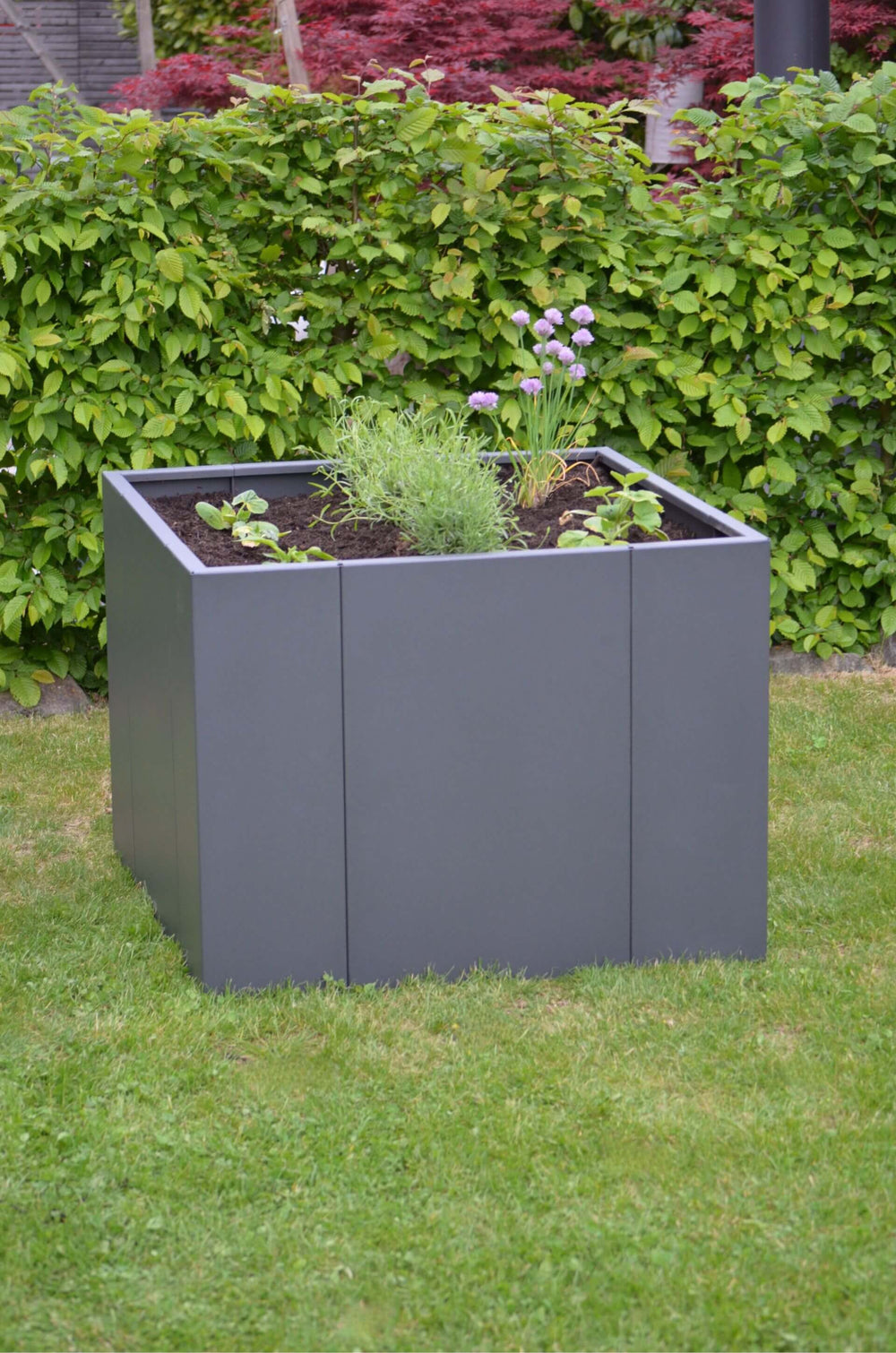 Hochbeet Monterosso freistehend vor einer Hecke auf gepflegtem Rasen | Pulverbeschichtet anthrazit Hochbeet Monterosso freistehend vor einer Hecke auf gepflegtem Rasen | Pulverbeschichtet anthrazit
