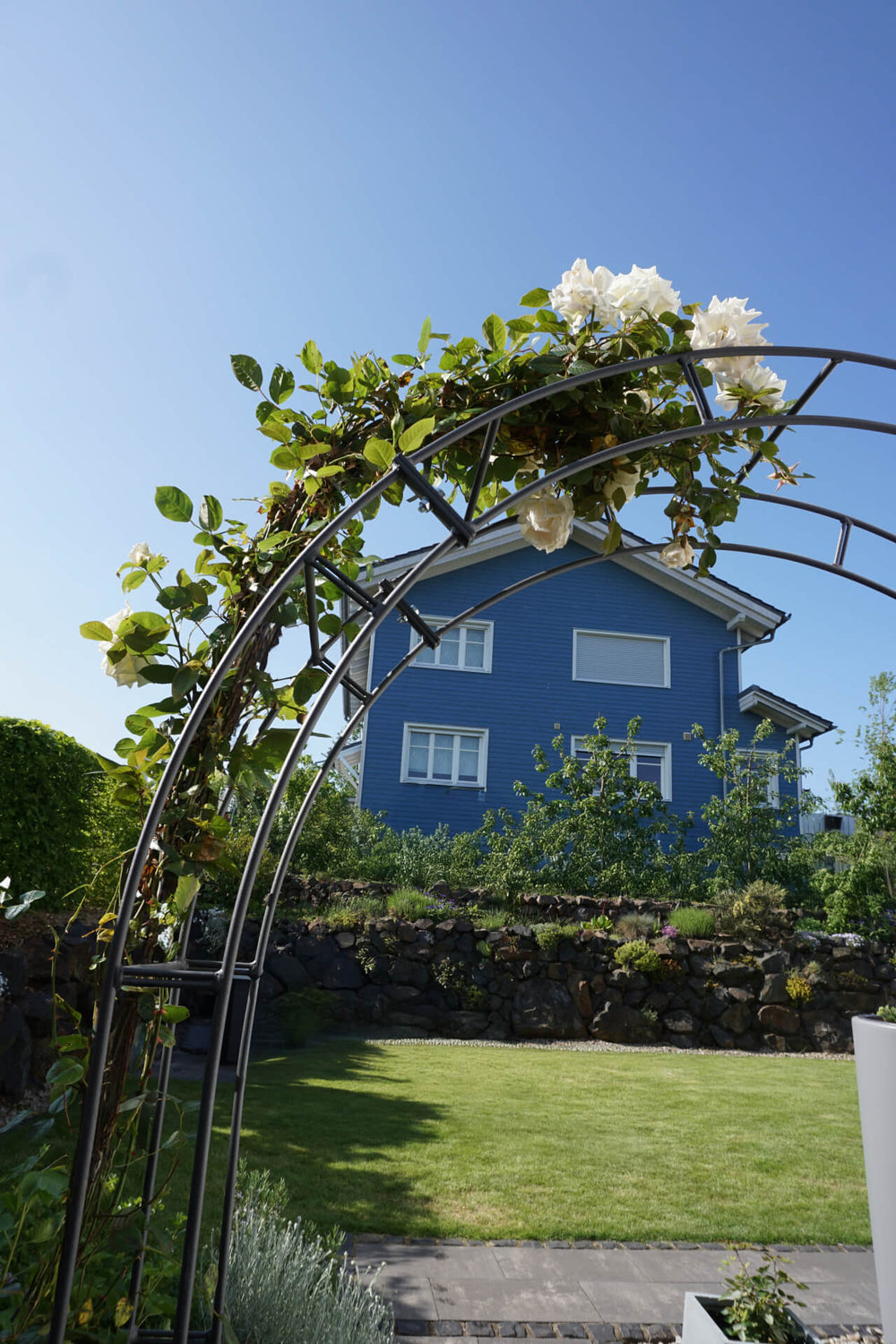 Rosenbogen Cremona Nahaufnahme berankter Bogen | Pulverbeschichtet anthrazit Rosenbogen Cremona Nahaufnahme berankter Bogen | Pulverbeschichtet anthrazit