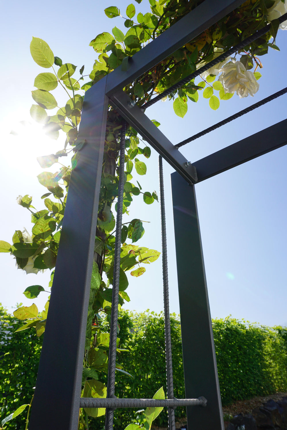 Rosenbogen Savona Nahaufnahme berankter Bogen | Pulverbeschichtet anthrazit Rosenbogen Savona Nahaufnahme berankter Bogen | Pulverbeschichtet anthrazit