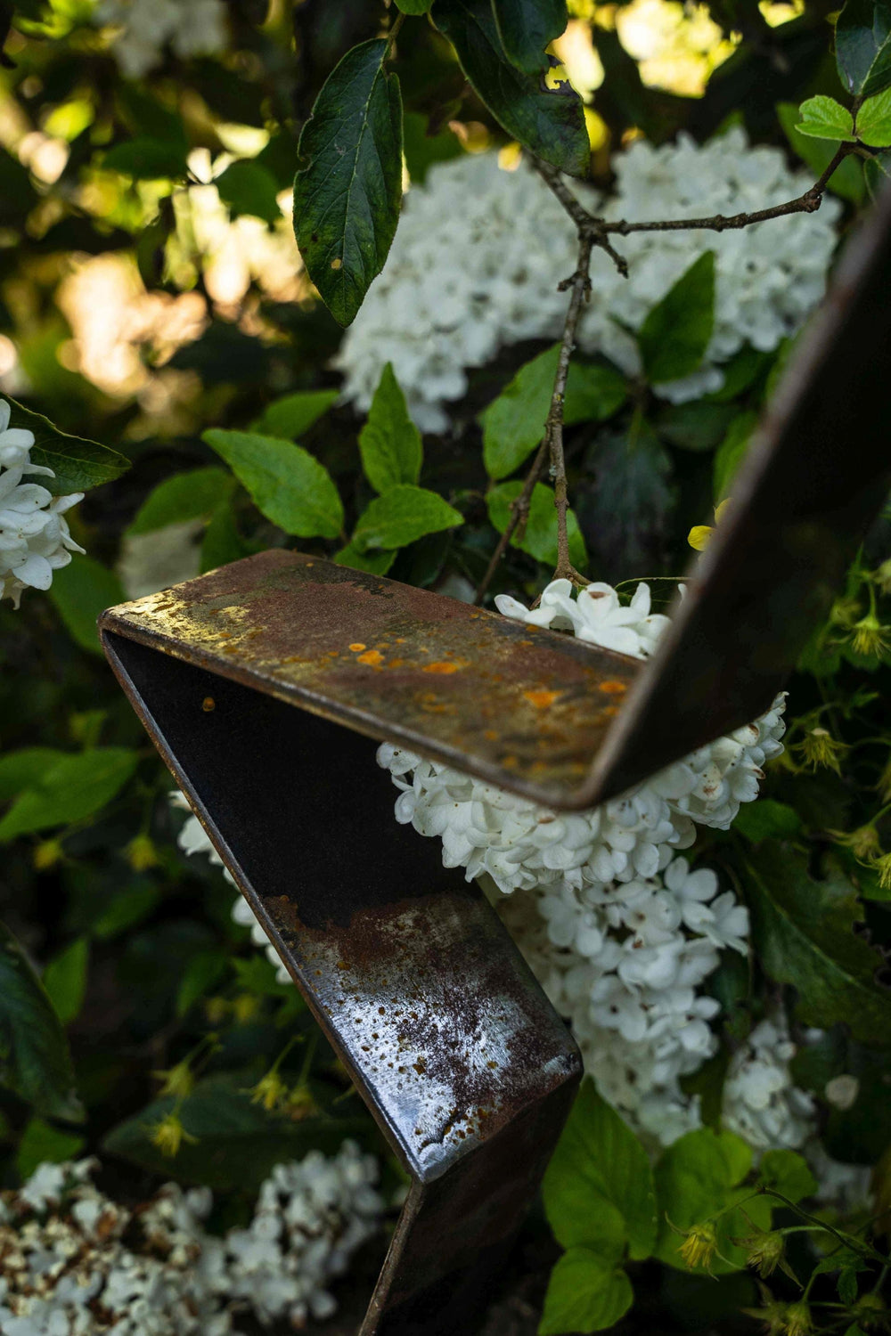 Metallstern Novara klein Detailansicht mit weißen Blüten, unbeschichtet Metallstern Novara klein Detailansicht mit weißen Blüten, unbeschichtet