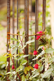 Arche de jardin Matera
