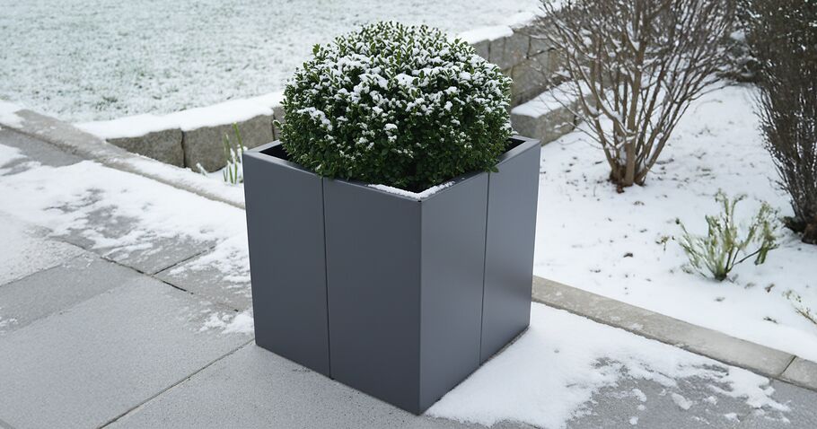 Ces plantes supportent le gel dans les bacs à plantes ou les carrés potagers surélevés.