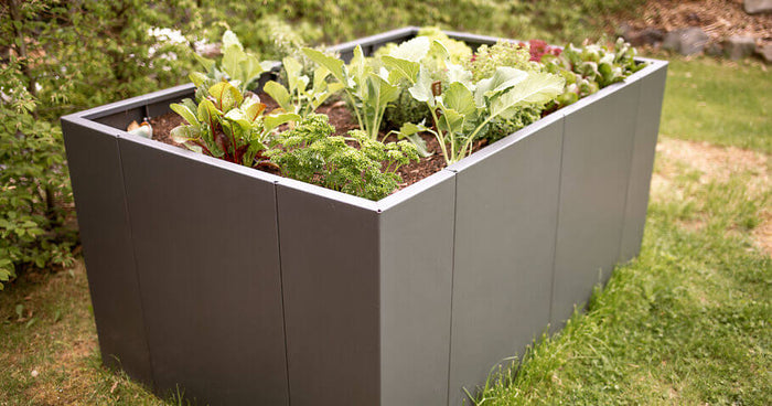 Jardinière surélevée : kit ou entièrement soudée – quel est le meilleur choix pour votre jardin ?
