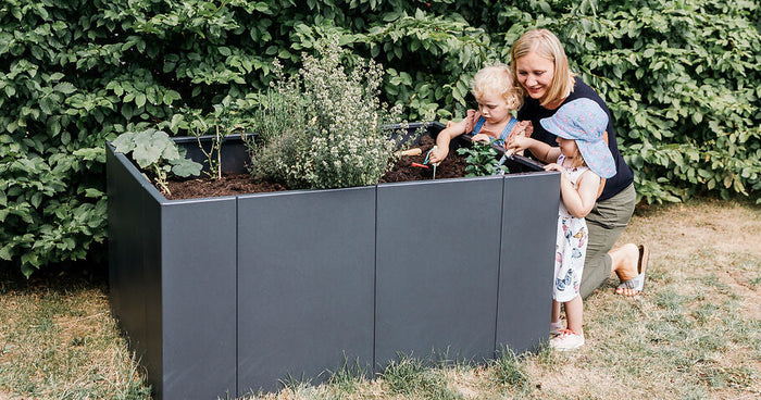 Planter des plates-bandes surélevées - voilà comment le faire correctement !