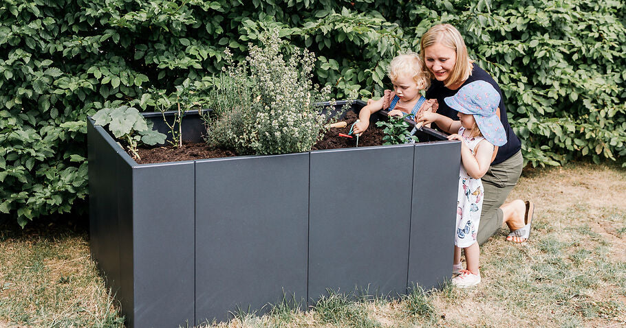Planter des plates-bandes surélevées - voilà comment le faire correctement !