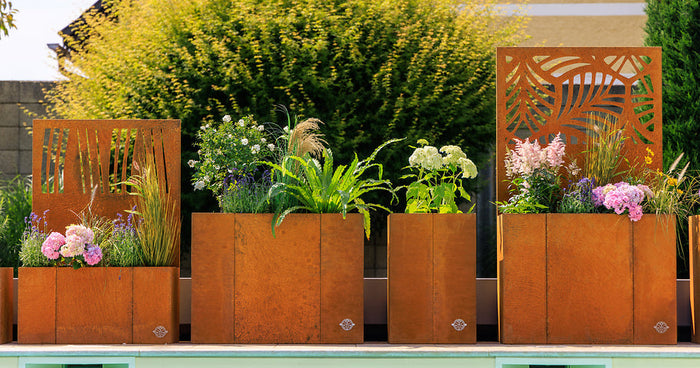 Potagers surélevés avec brise-vue intégré <br>– Délimiter les espaces du jardin avec élégance