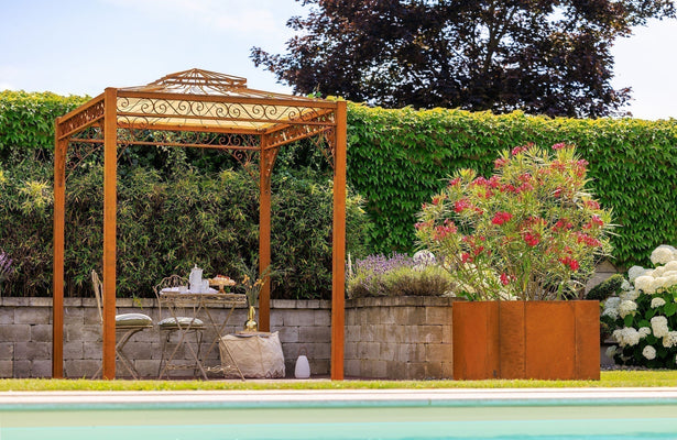 Créer des espaces de jardin : des idées astucieuses pour plus de structure dans votre jardin