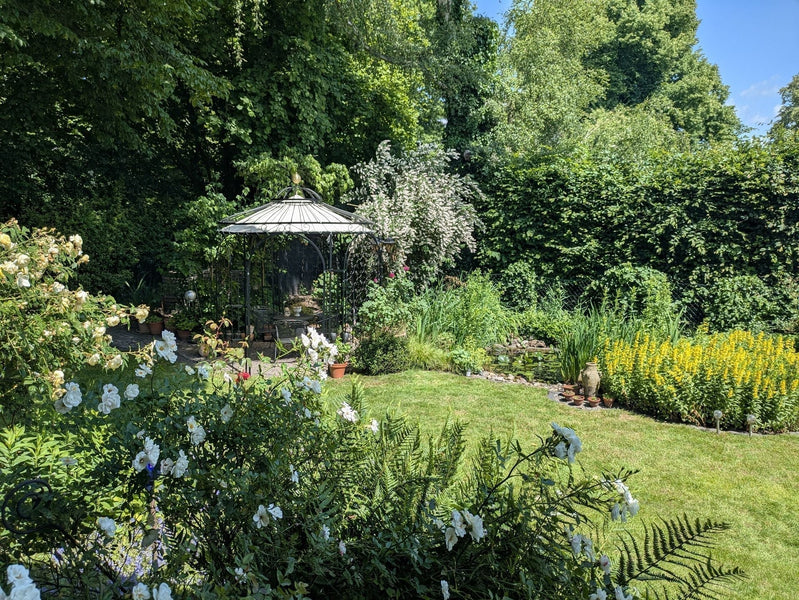 Aménager un mini-jardin : les plus belles idées pour les jardins petits et étroits