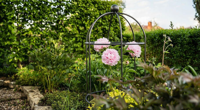 Jardin facile d'entretien – Idées et conseils pour un aménagement simple du jardin