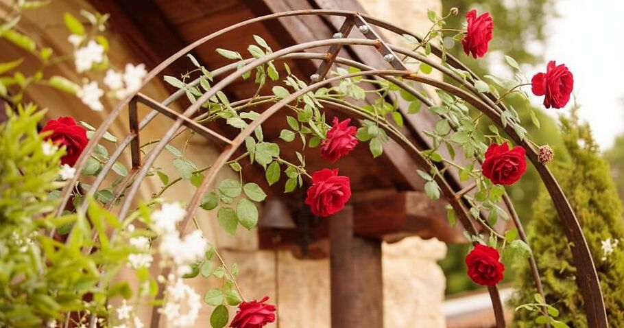 Planter correctement les arches de jardin 