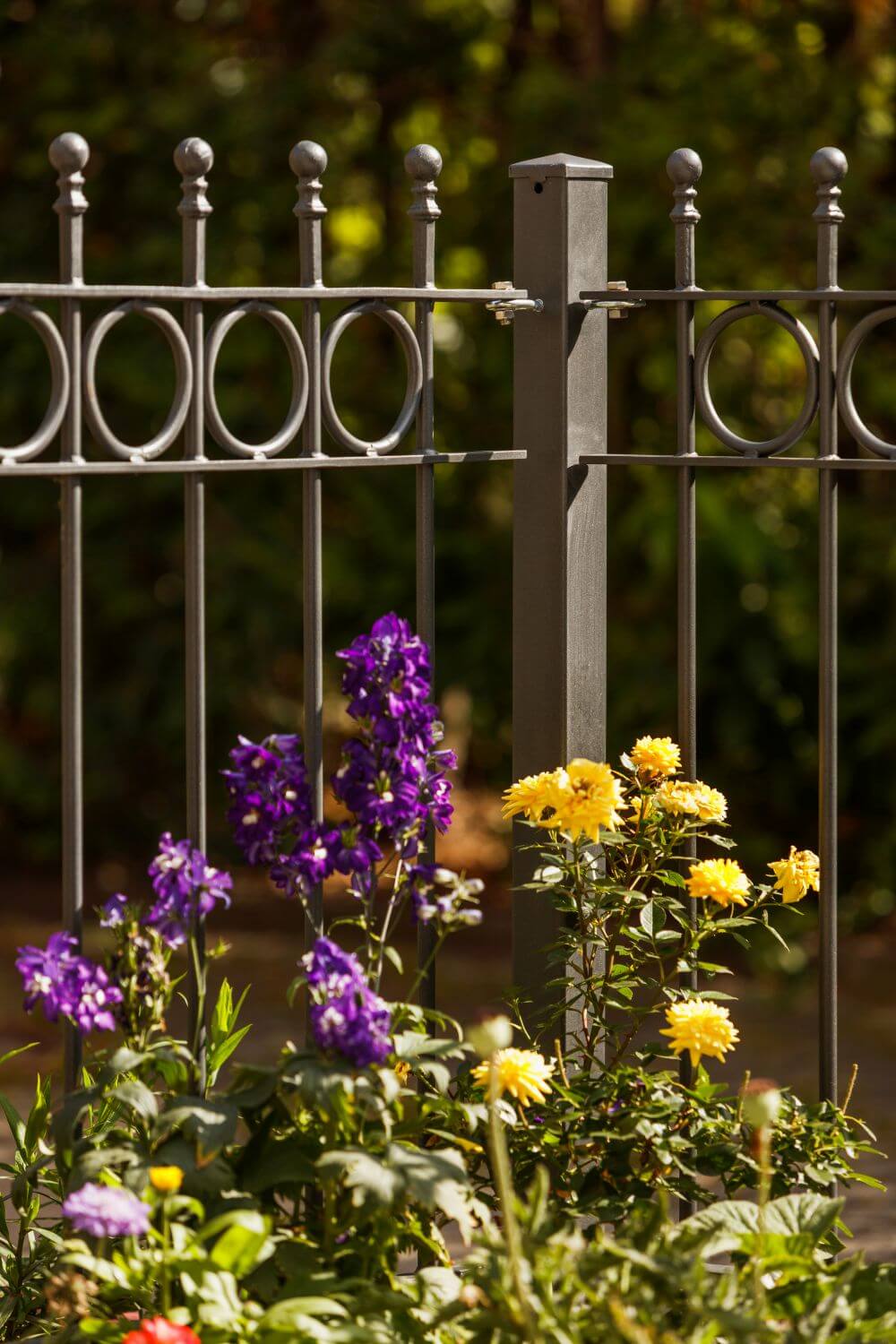 Zaun Belluno pulverbeschichtet anthrazit